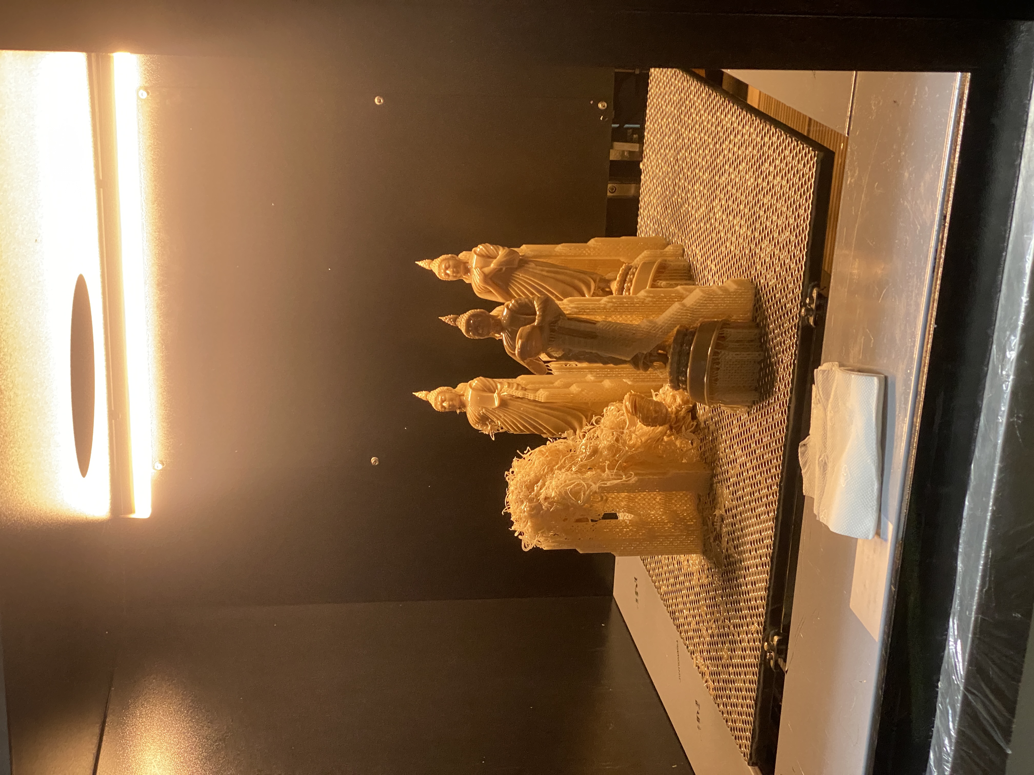 Resin 3D print on the printer bed